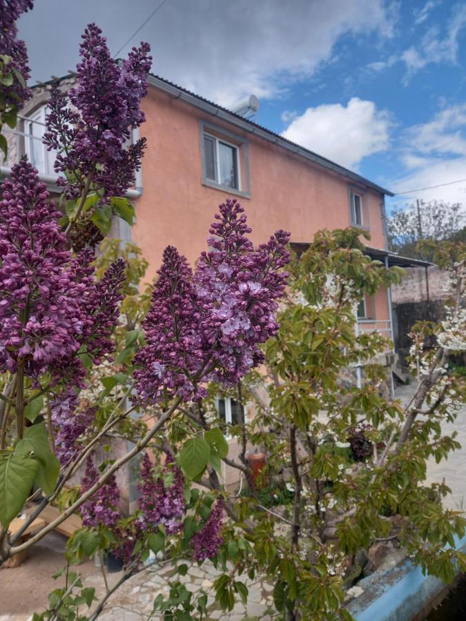 Byurakan Guesthouse & Cottage Екстер'єр фото